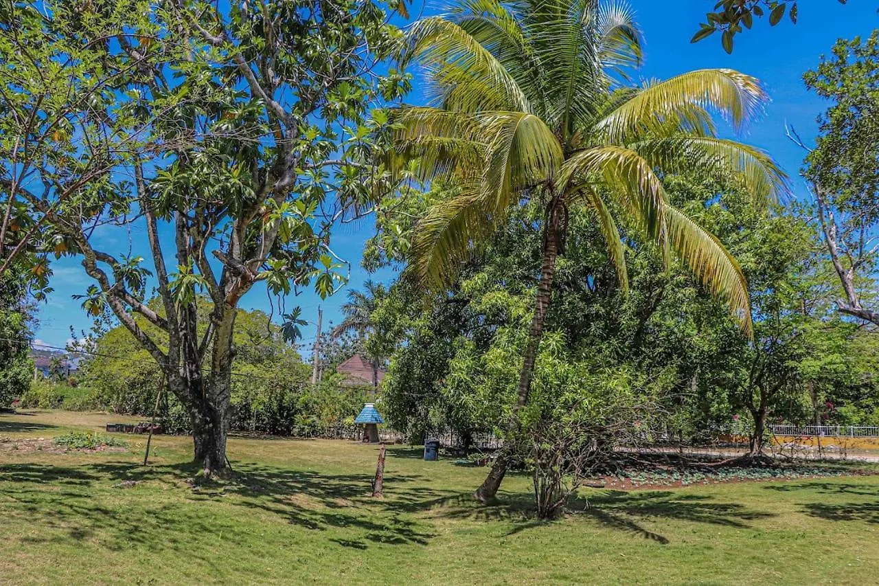 Seven Palms Villa Runaway Bay